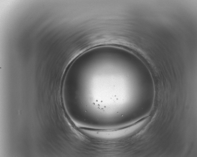 X0000064731513200602131237