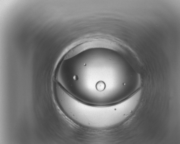 X0000064731514200602131237