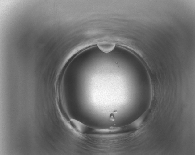 X0000064731515200602131237