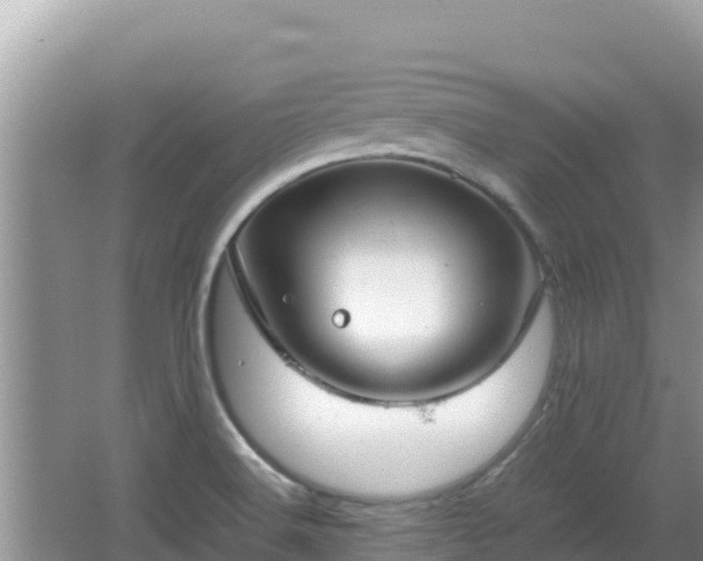 X0000064731516200602131237