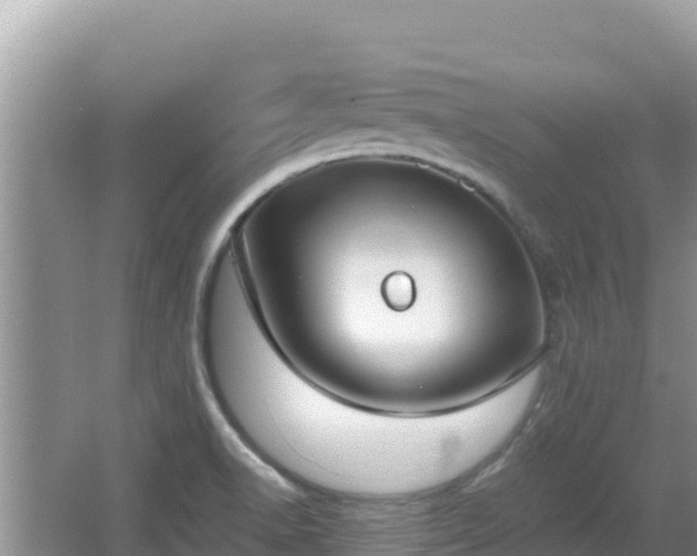 X0000064731518200602131237