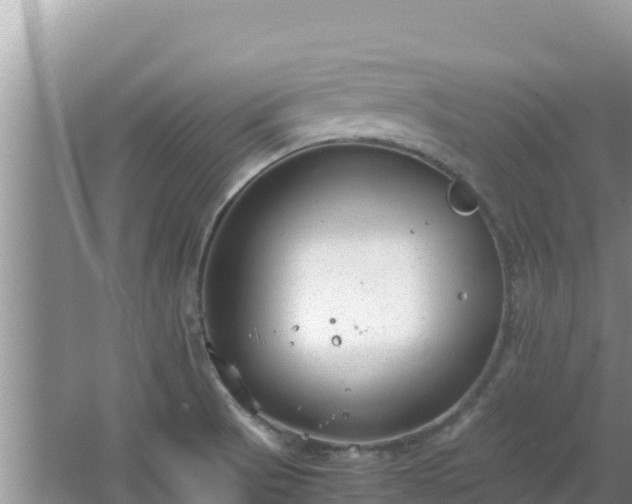 X0000064731521200602131237