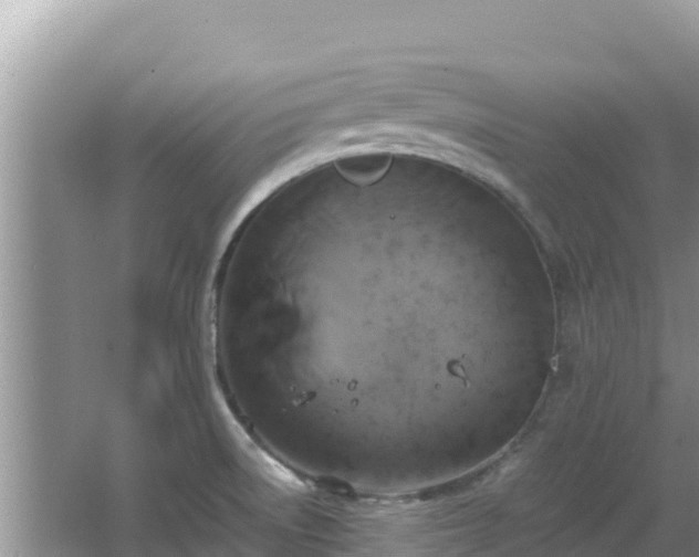 X0000064731522200602131237