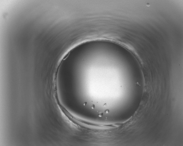 X0000064731524200602131237