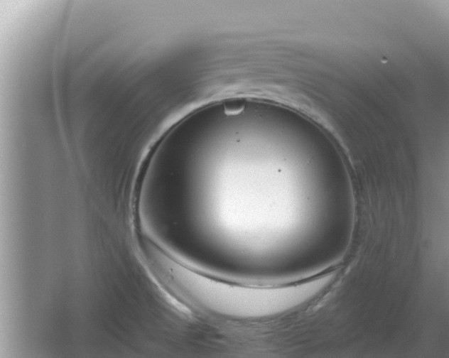 X0000064731525200602131237