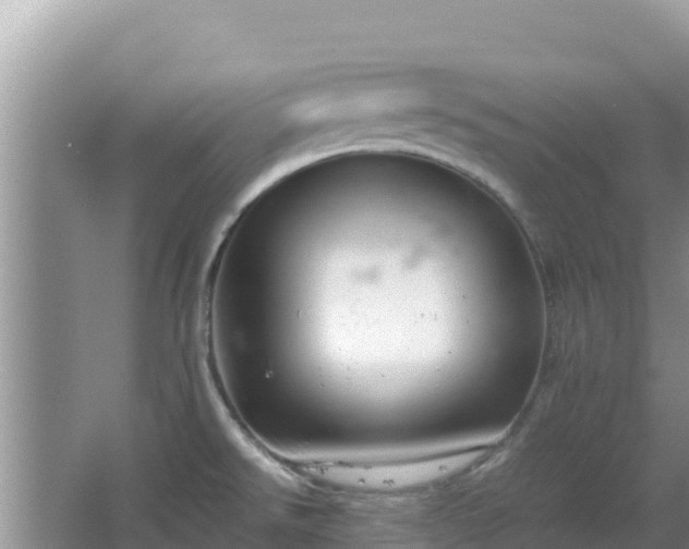 X0000064731526200602131237