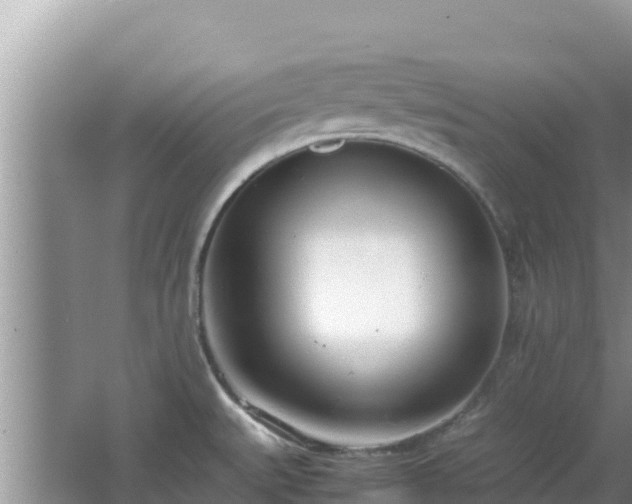 X0000064731527200602131237