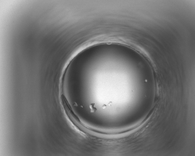 X0000064731528200602131237