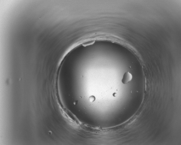 X0000064731530200602131237