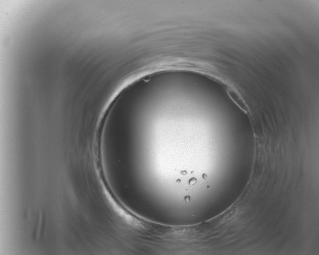 X0000064731531200602131237