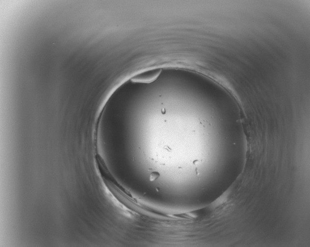 X0000064731532200602131237