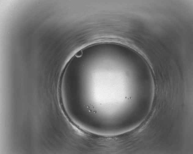 X0000064731533200602131237