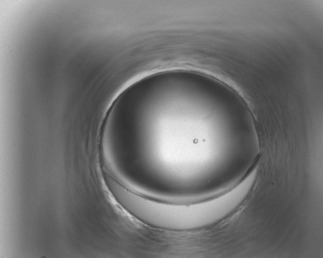 X0000064731534200602131237