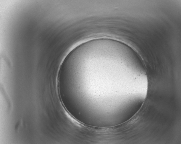 X0000064731535200602131237