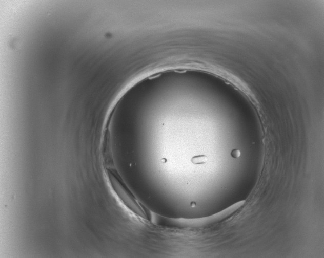 X0000064731536200602131237