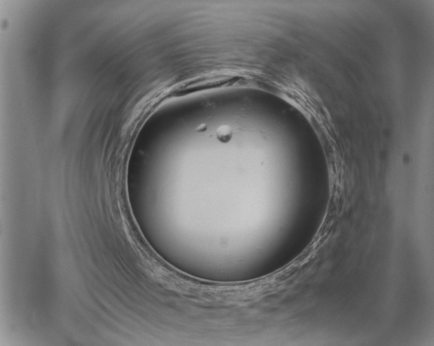 X0000064730001200602171653