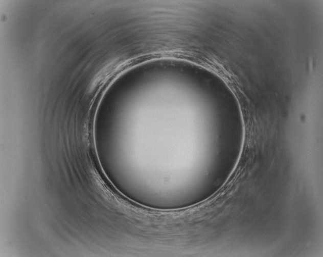 X0000064730002200602171653