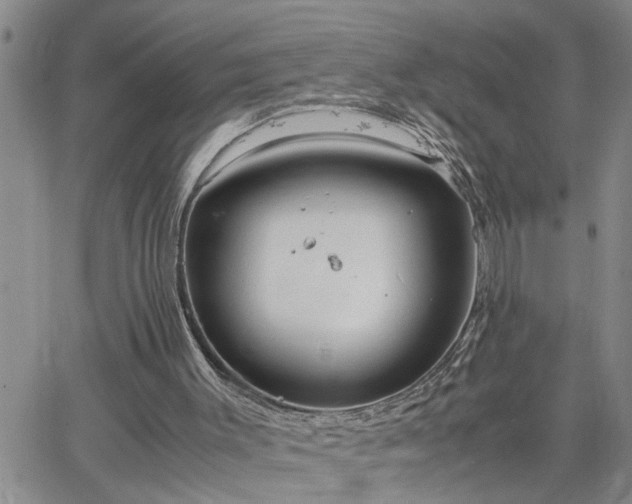 X0000064730003200602171653