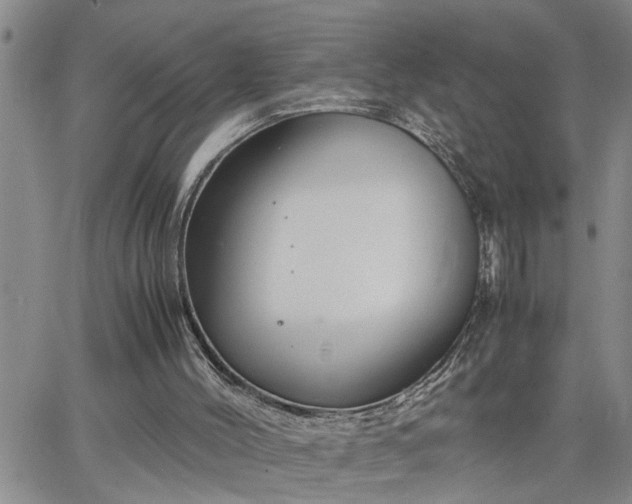 X0000064730004200602171653