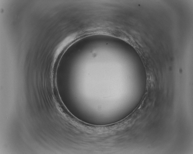 X0000064730006200602171653