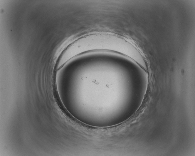 X0000064730007200602171653