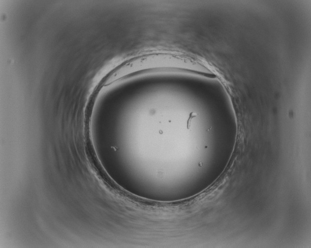 X0000064730008200602171653