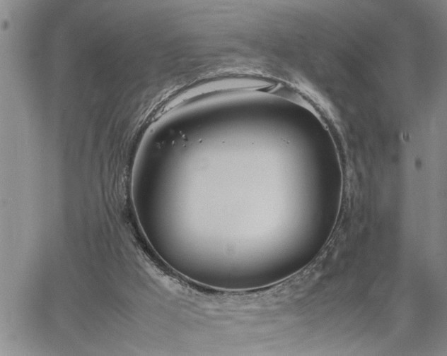 X0000064730009200602171653