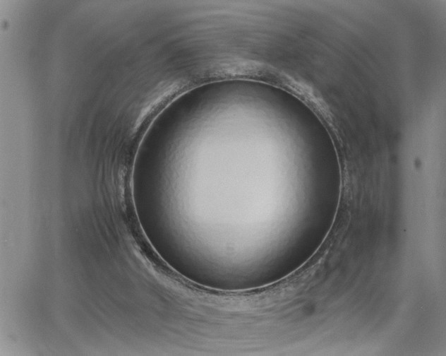 X0000064730010200602171653