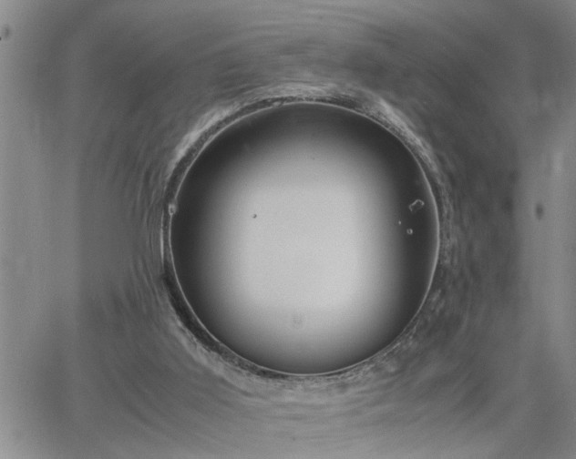 X0000064730011200602171653