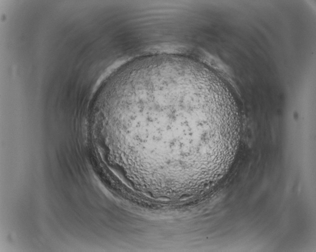 X0000064730012200602171653