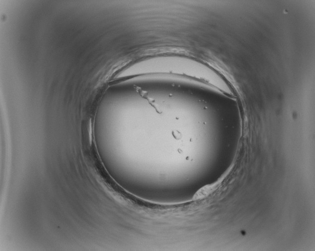 X0000064730013200602171653