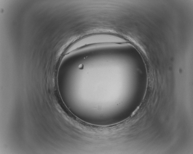 X0000064730015200602171653