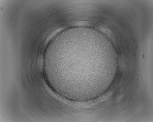 X0000064730016200602171653