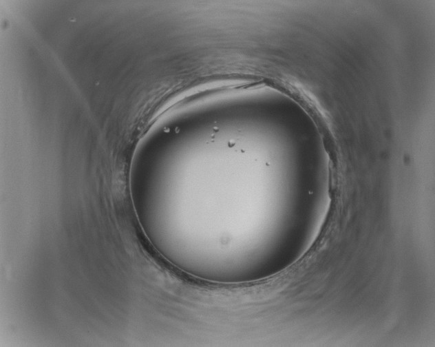 X0000064730017200602171653