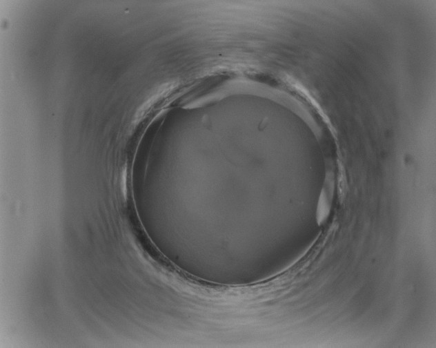 X0000064730019200602171653