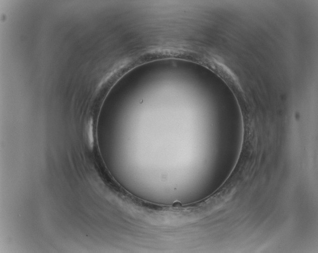 X0000064730020200602171653