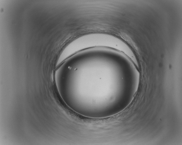 X0000064730021200602171653