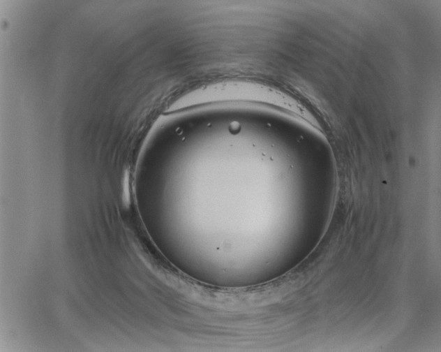 X0000064730022200602171653