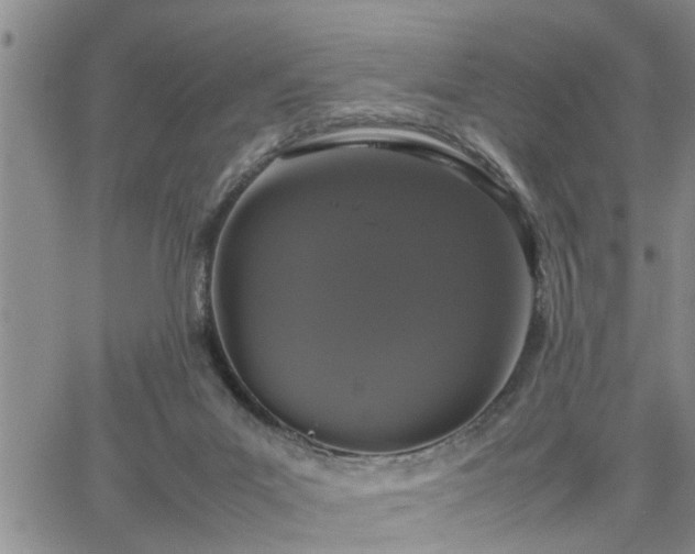 X0000064730023200602171653