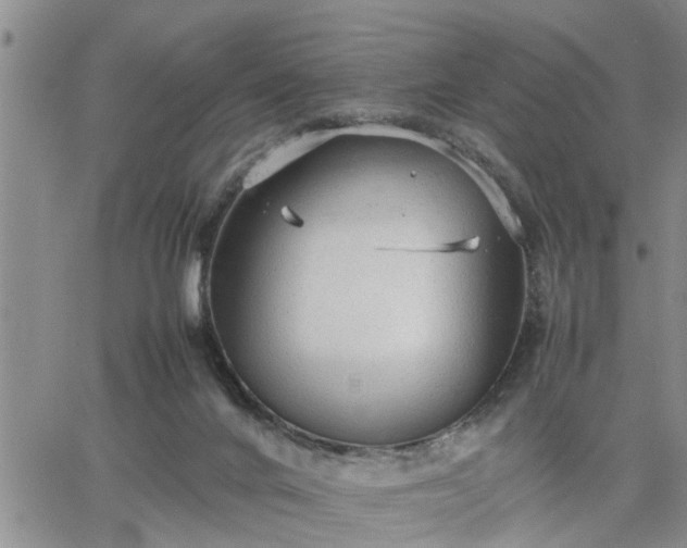 X0000064730024200602171653