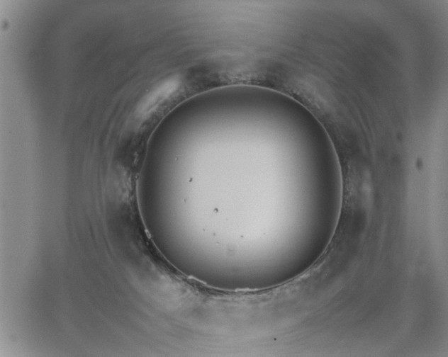 X0000064730025200602171653