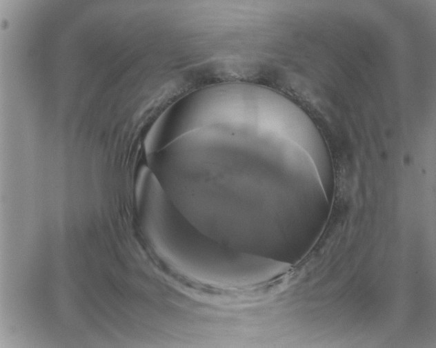 X0000064730027200602171653