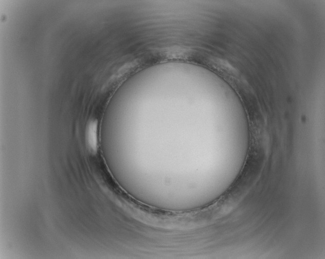 X0000064730028200602171653