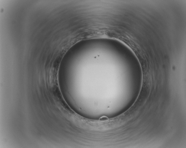 X0000064730030200602171653