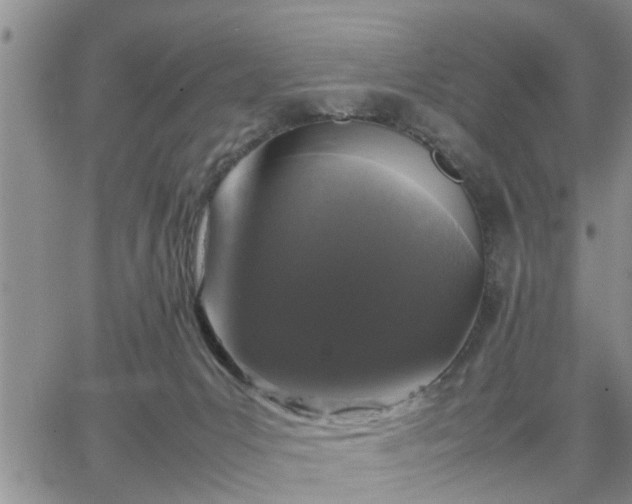 X0000064730031200602171653