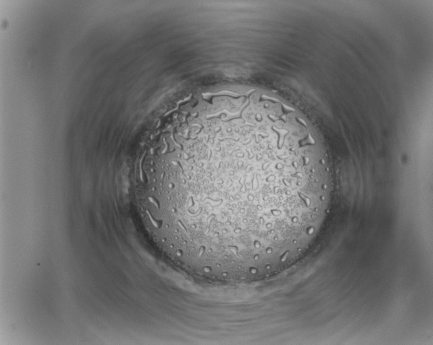 X0000064730032200602171653