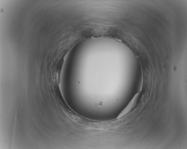 X0000064730033200602171653