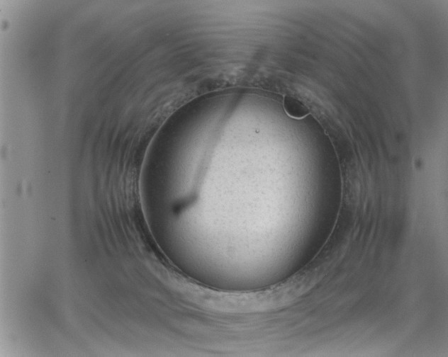 X0000064730034200602171653