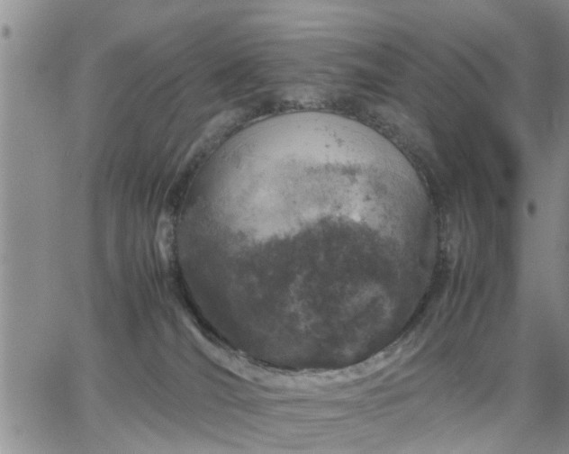 X0000064730036200602171653