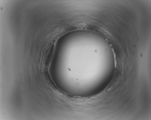 X0000064730037200602171653